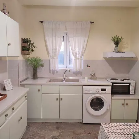 Potami Apartman Lefkími