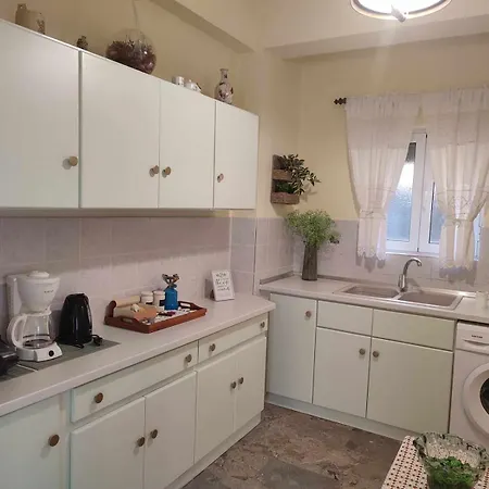 Apartment Potami *