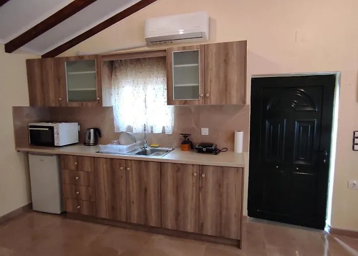 Potami